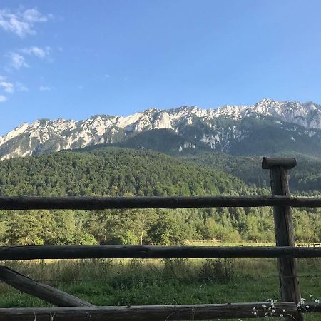 Pensiunea Kyfana Zărneşti Exterior foto