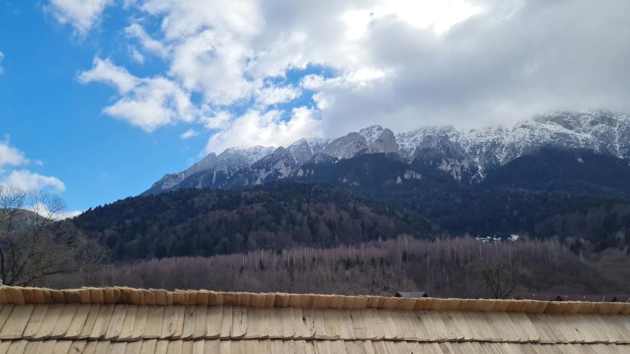 Pensiunea Kyfana Zărneşti Exterior foto