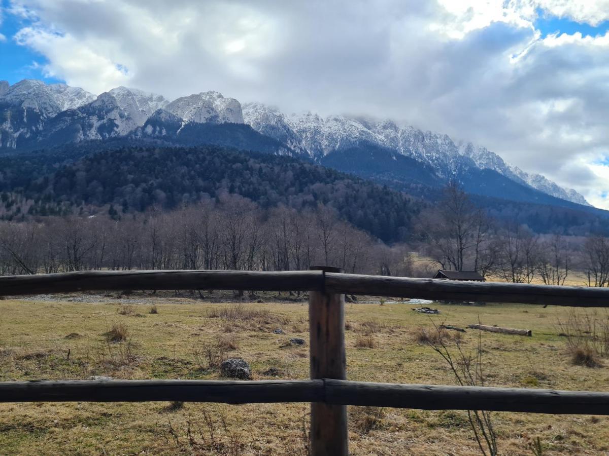 Pensiunea Kyfana Zărneşti Exterior foto